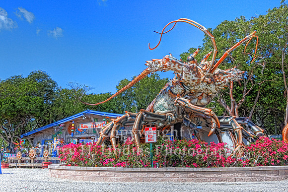 "Lobzilla"
