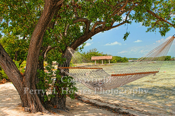 Paradise Hammock
