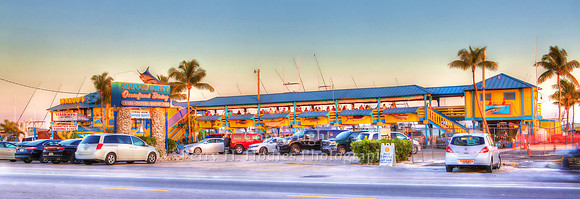 Wahoos