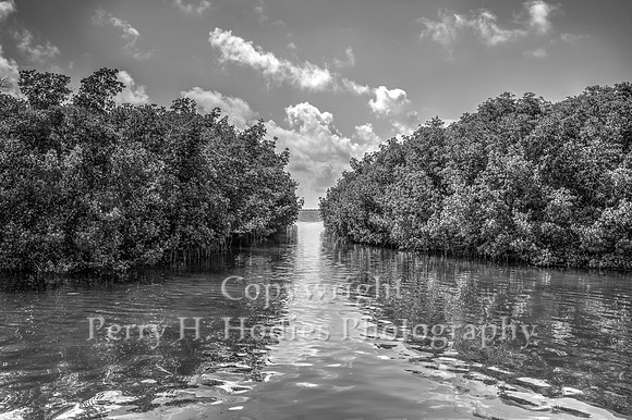 Crocodile Lake Flow