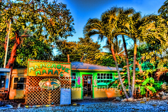 Mangrove Mama's
