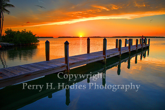 Dockside Sunset