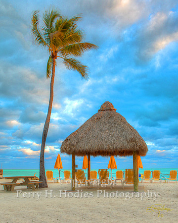 Yellow Tiki