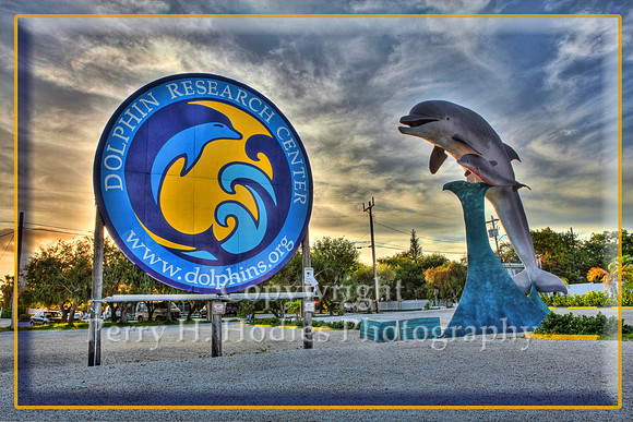 Dolphin Research Center