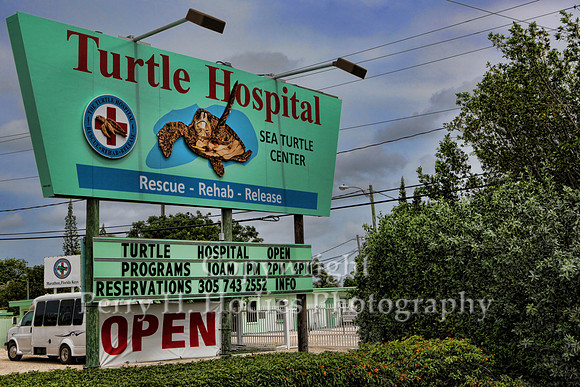 Turtle Hospital