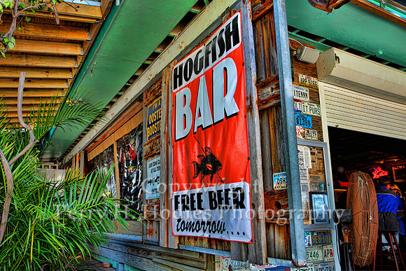 Free Beer
