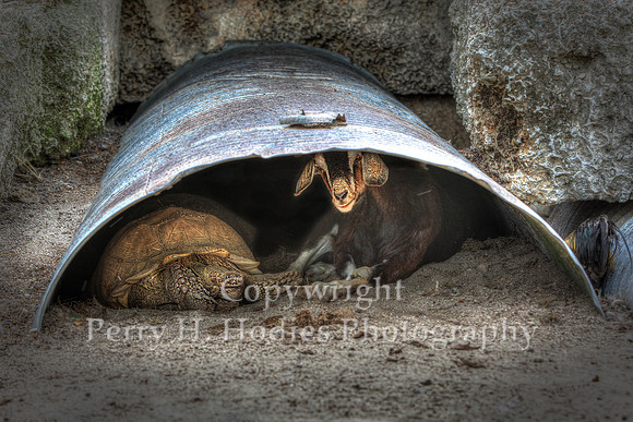 Culvert Operations