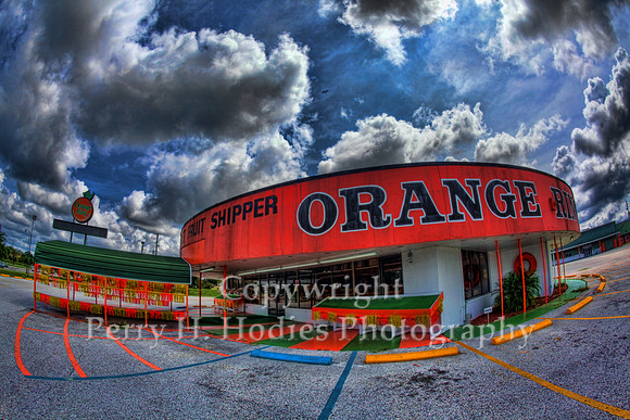 Orange Ring
