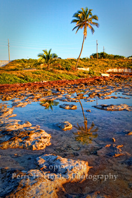 Low Tide