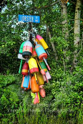 Lobster Lane
