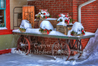 Winter Cart