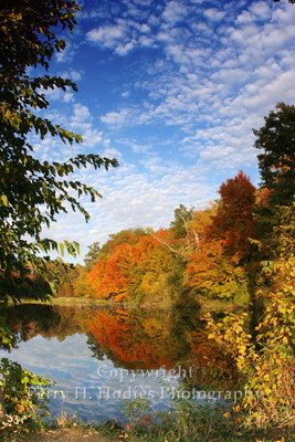 Fred Carter Park