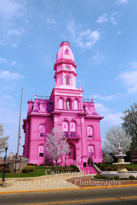 Pink Court