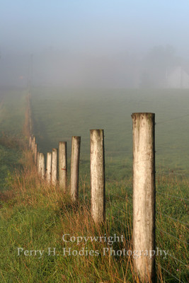 Foggy Fence