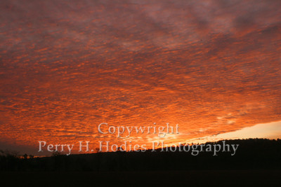 Autumn Sky