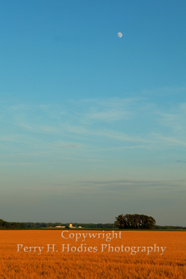 Fields